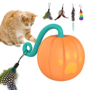 Orange Halloween pumpkin cat toy with feathers attached, interactive ball for playful cats chasing and teasing.